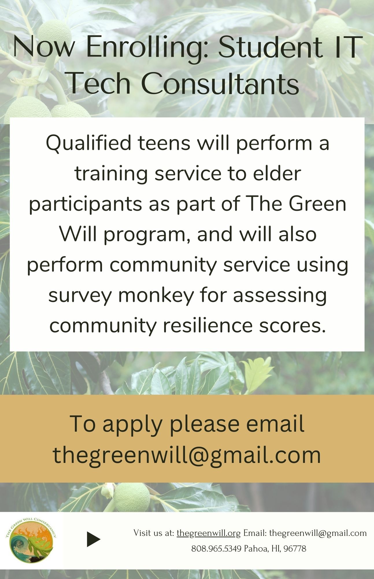 Student IT consultant enrollment graphic for The Green Will program
