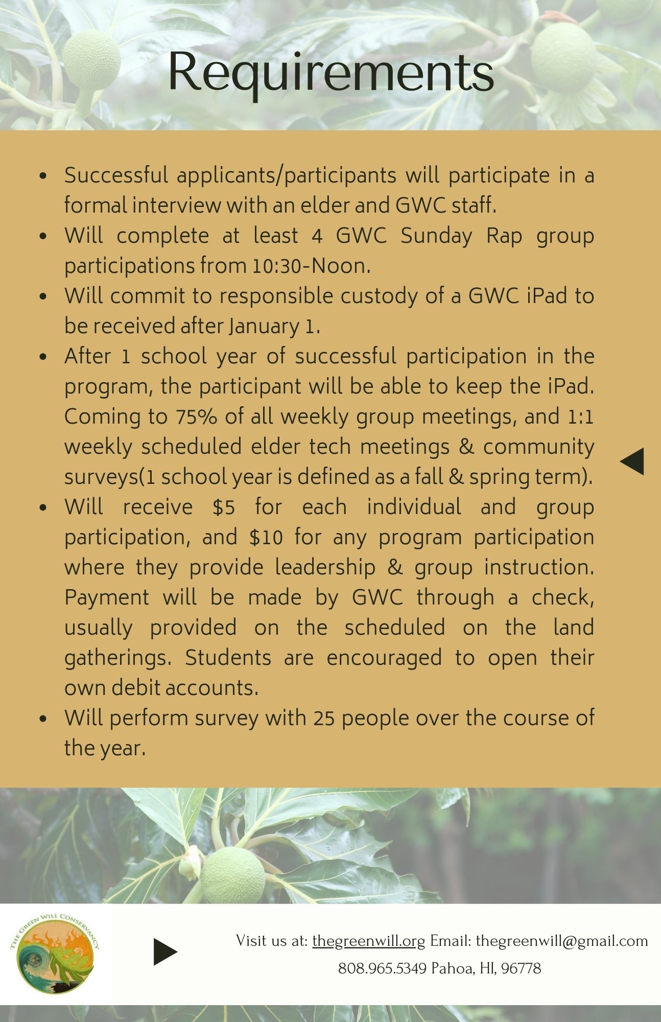 Teen Elder iPad Program participation requirements graphic